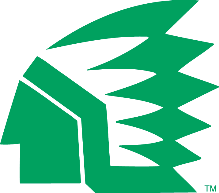 North Dakota Fighting Hawks 1976-1999 Primary Logo iron on paper